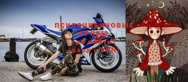 mdpv Медвежьегорск