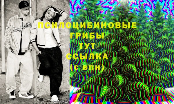 мяу мяу мука Магадан