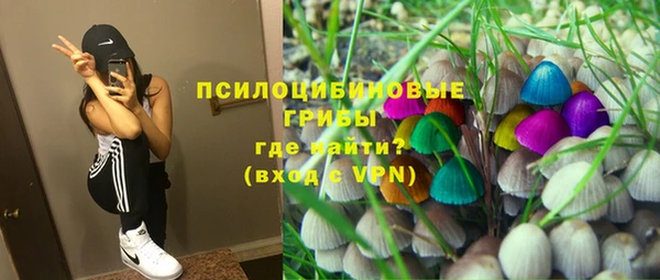 мяу мяу мука Магадан